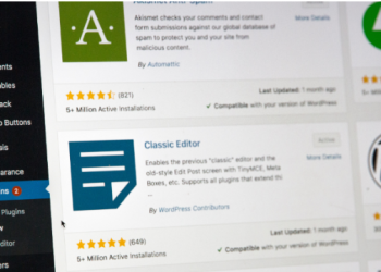 The Beginners Guide To Learning WordPress