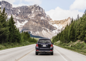 A Comprehensive Guide to Choosing the Right Car Rental Service Provider