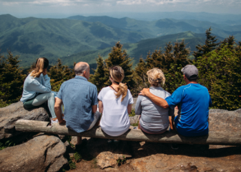 From Branches to Roots: The Easy Way to Build Your Family Tree