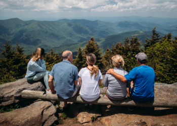 Uncovering Surprising Connections: Using MyHeritage to Build Your Family Tree