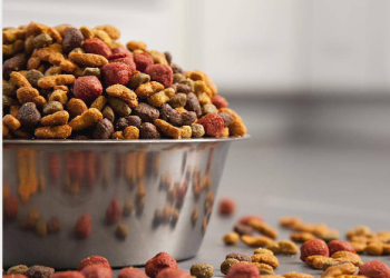 WildEarth Website Review: A One-Stop Shop for Pet Food and Supplements For Pets