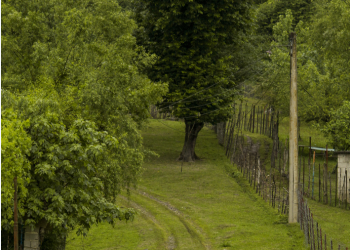 Viator Website Review: The Ultimate Guide to Booking Your Dream Tours