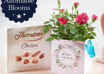 Moonpig Website Review: A Personalized Card Experience Like No Other