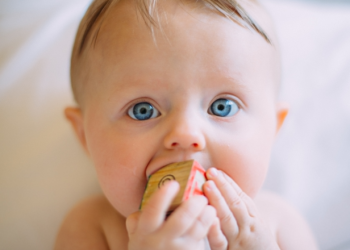 Wish Website Review: A One-Stop Shop for All Your Baby Needs