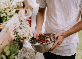 FreshDirect Website Review: How Chef-Prepared Meals Can Elevate Your Dining Experience