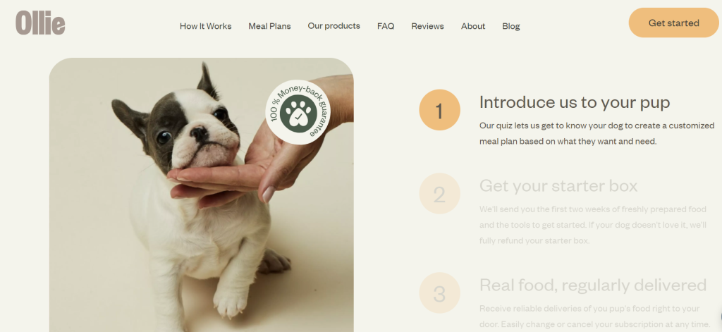 Myollie Website Review: A Comprehensive Guide to Finding the Perfect Food for Your Dog - Ezee Brand