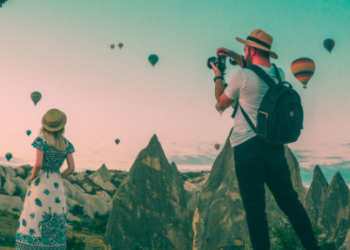 Wightlink’s Website Review: Seamless Travel Planning Made Easy With Us