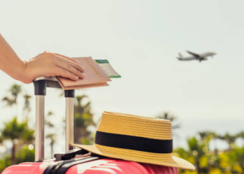 From Fast-Paced Flights to Scenic Train Rides: Pick Your Ideal Travel Experience