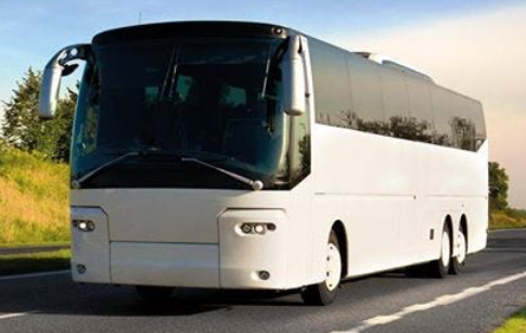 Program Infobus Infobus Website Review: The Ultimate Guide to Booking Your Bus and ...