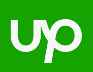 Managing Upwork Projects Like a Pro: Tips for Clients