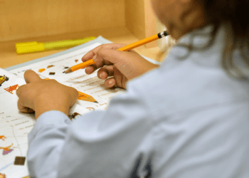 Wyzant Website Review: A Comprehensive Guide to Finding the Perfect Tutor