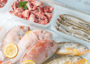 Lidl Website Review: Why You Should Stock Up on Frozen Goodies