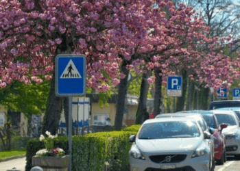 Say Goodbye to Parking Woes: How Strategic Planning Can Save the Day