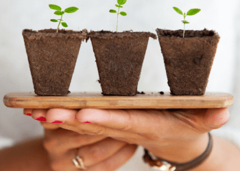 The Ultimate Guide to Garden Tools and Equipment: Essentials Every Gardener Needs