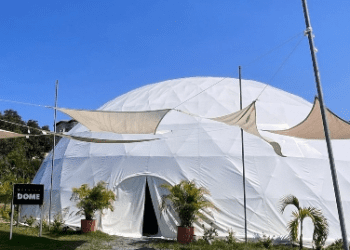 Vitalia Website Review: Everything You Need to Know Before Visiting