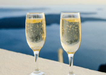 Total Wines Website Review: Navigating through a Vast Selection of High-Quality Wines