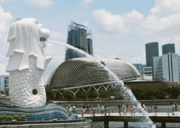 Must-Do Activities Before Your Singapore Book Tour: A Traveler’s Guide