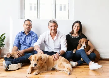 Why Ollie Pets is Changing the Way We Feed Our Furry Friends