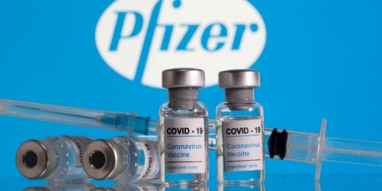 Pfizer pod mikroskopem: Komplexní přehledový článek