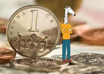 Top 5 Reasons to Consider Zonky for Your Next Investment